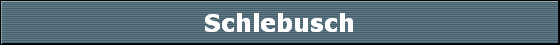 Schlebusch