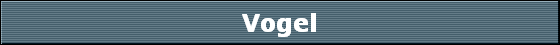 Vogel